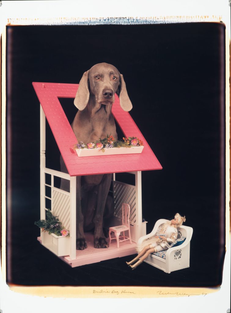 William Wegman, Barbie Dog House, 1994. Color Polaroid, 24 x 20 Inches, unique piece