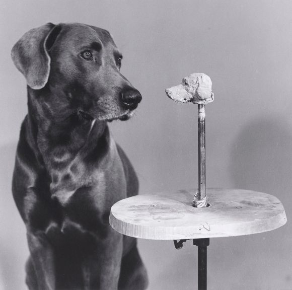 William Wegman, Man Ray Contemplating the Bust of Man Ray, 1978-1991. Silver gelatin print, 14 x 11 inches, edition of 7