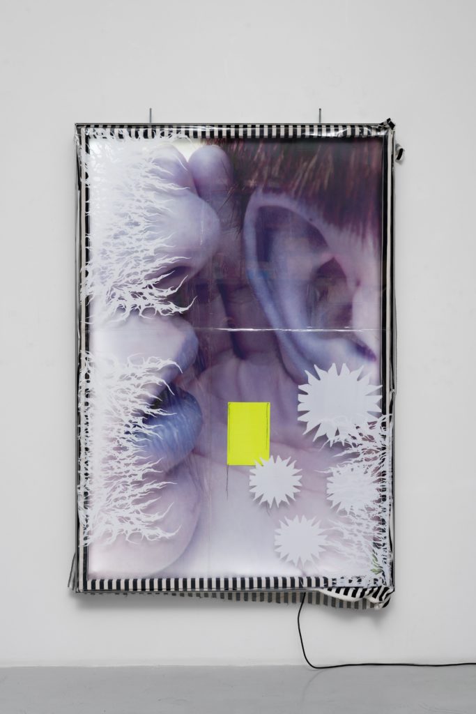 David Douard, Mélodie 1, 2020, sérigraphie sur plastique, impression jet d’encre sur toile, 220 x 250 cm © Courtesy de l’artiste et de la Galerie Chantal Crouse. Collection Gensollen
