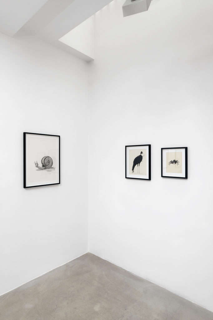 Galerie Vallois, Tomi Ungerer, Tomi L'Alchimiste, Le Grand Œuvre, 2023 © Aurélien Mole