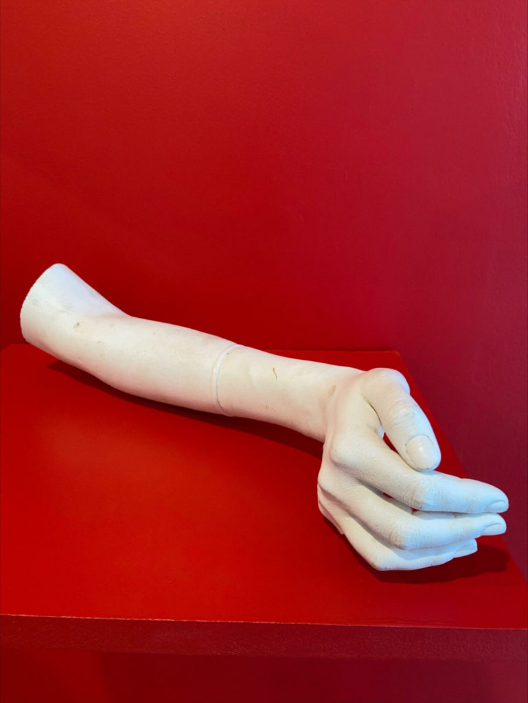 John DeAndrea, Arm, Plaster © Margot Montigny