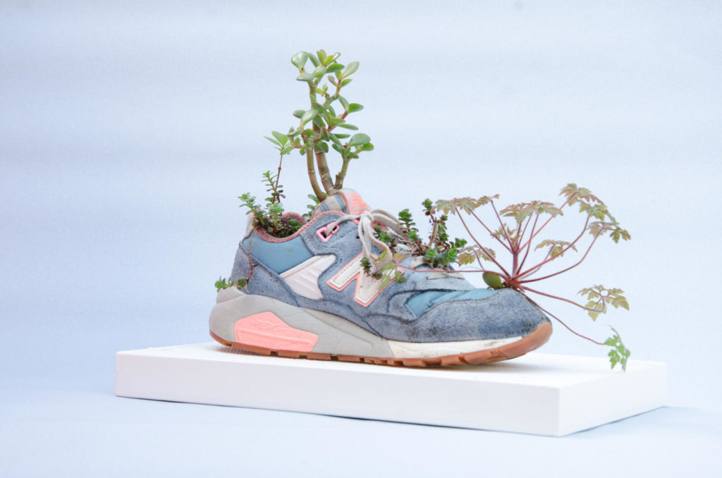 Michel Blazy, Sans titre, 2018. Chaussure de sport, plantes, terre, eau, 34 x 21 x 27 cm. Courtesy de l'artiste et Galerie Art Concept, Paris. Photo © ADAGP 2023