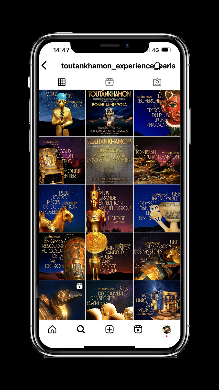 Expérience Toutânkhamon - étude de cas social media