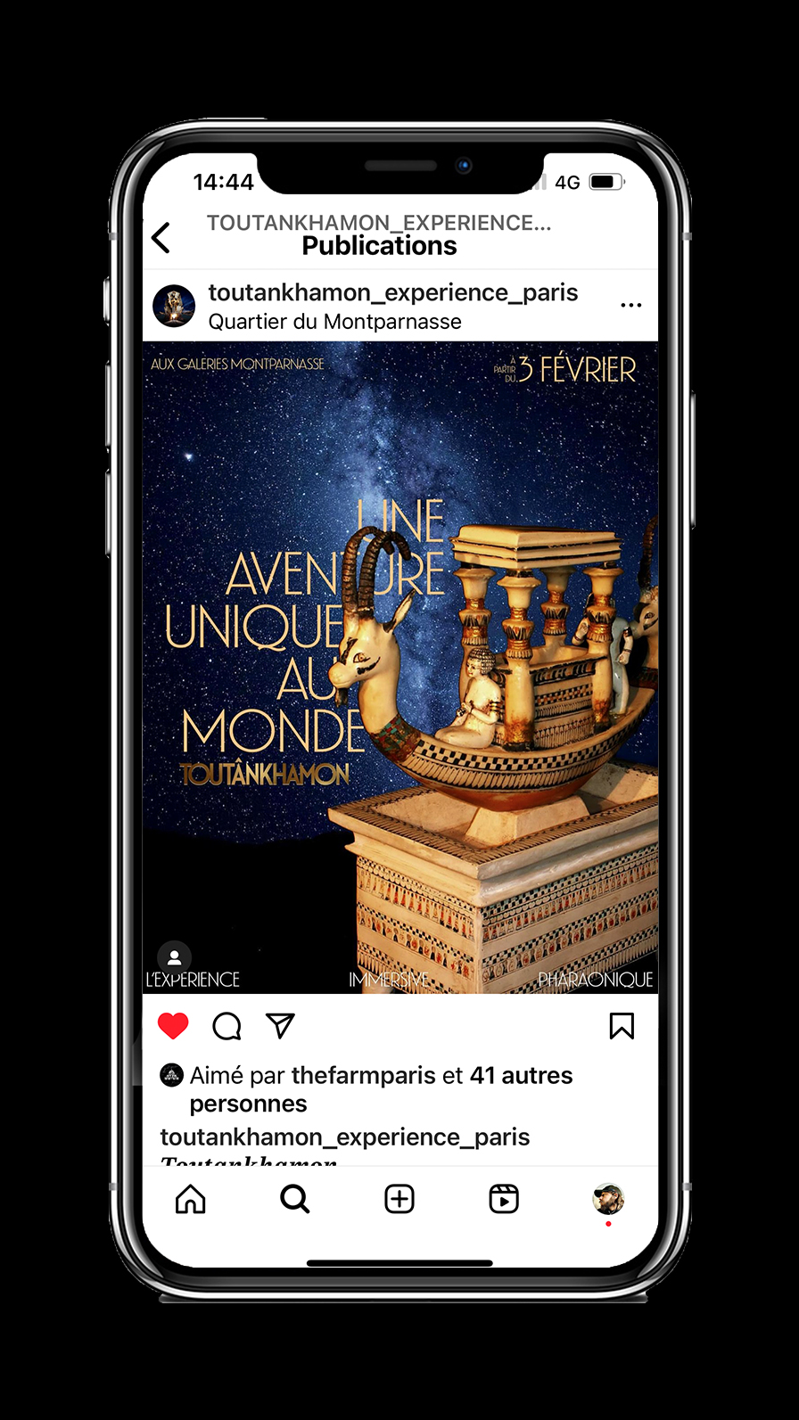 Expérience Toutânkhamon - étude de cas social media