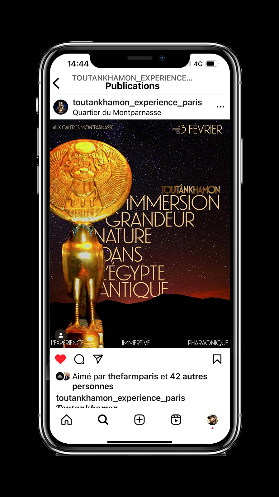 Expérience Toutânkhamon - étude de cas social media