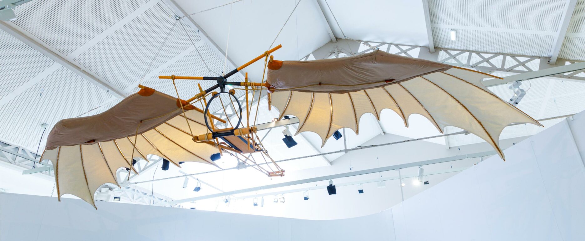 Château du Clos Lucé, Exposition Léonard de Vinci et le biomimétisme, s'inspirer du vivant, juin 2025 © Léonard de Serres