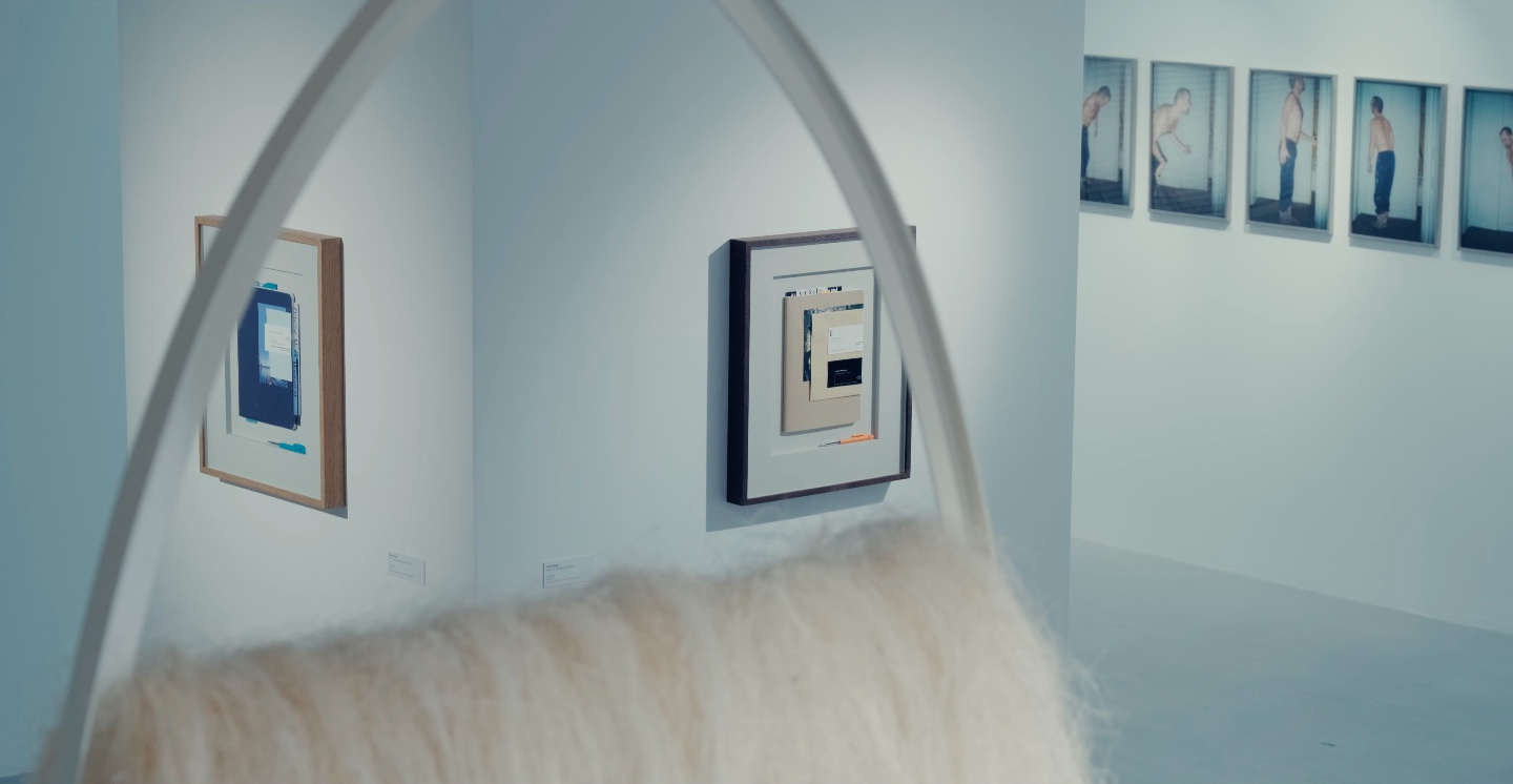 Galerie Poggi, The Last Museum