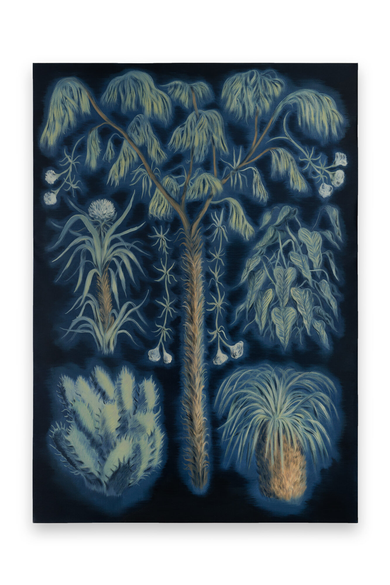 Pierre Seinturier, Herbier, 2023