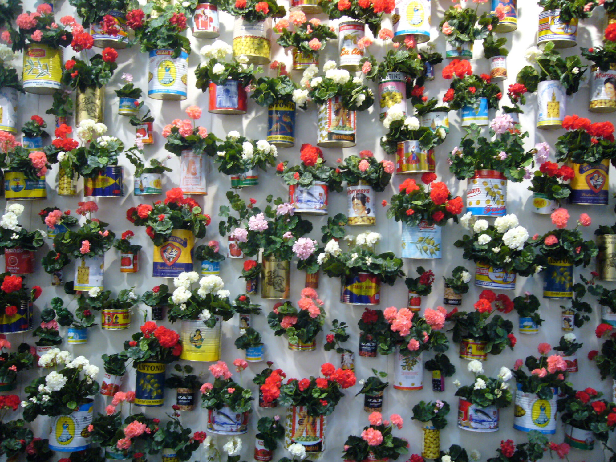 Pilar Albarracín, Muro de Geranios, 2005