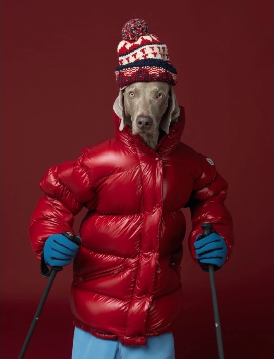 William Wegman, Ski Patrol, 2017