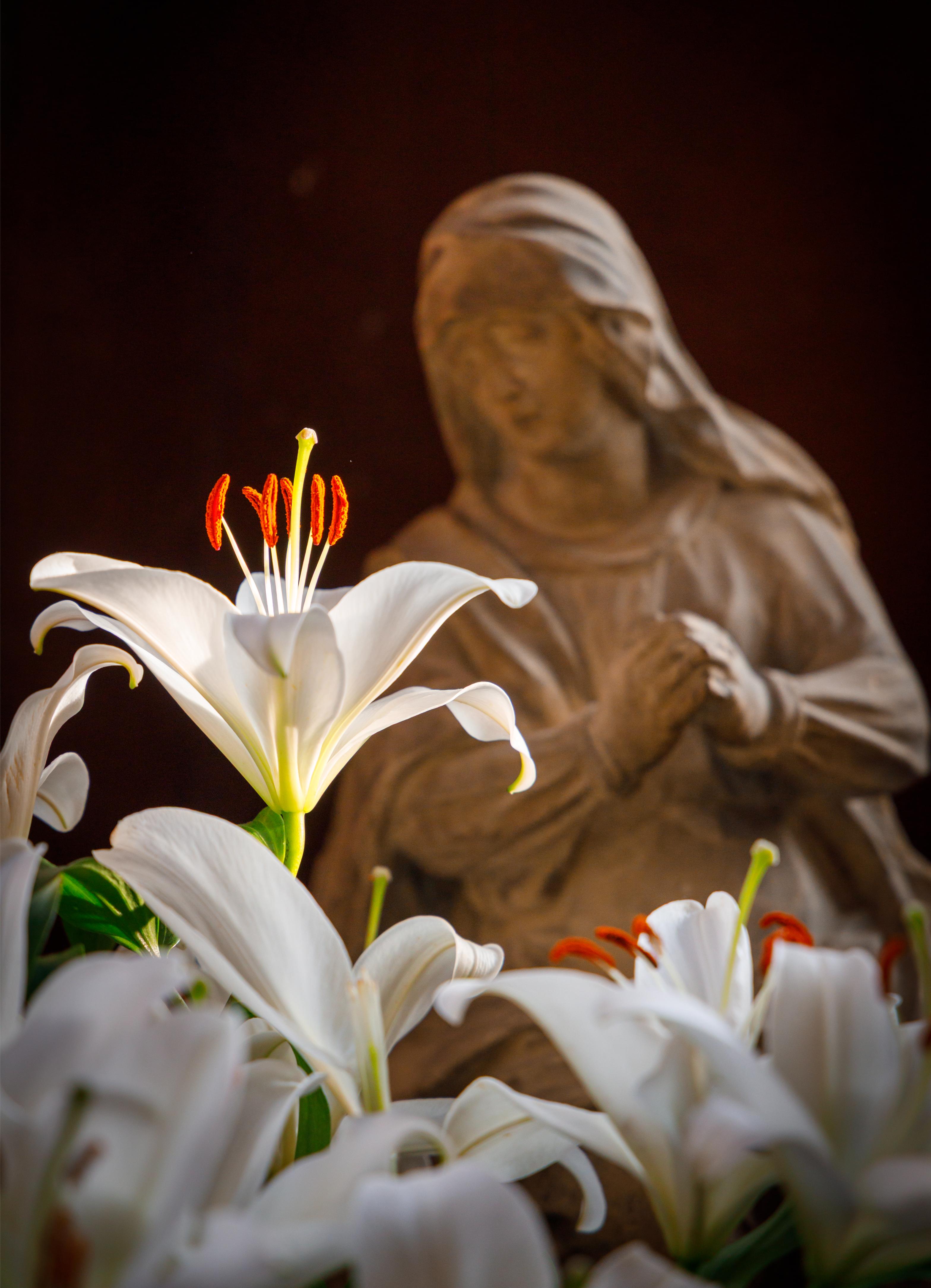 Château du Clos Lucé, Fééries de Noël 2025 © Château du Clos Lucé - Parc Leonardo da Vinci. Photo Léonard de Serres