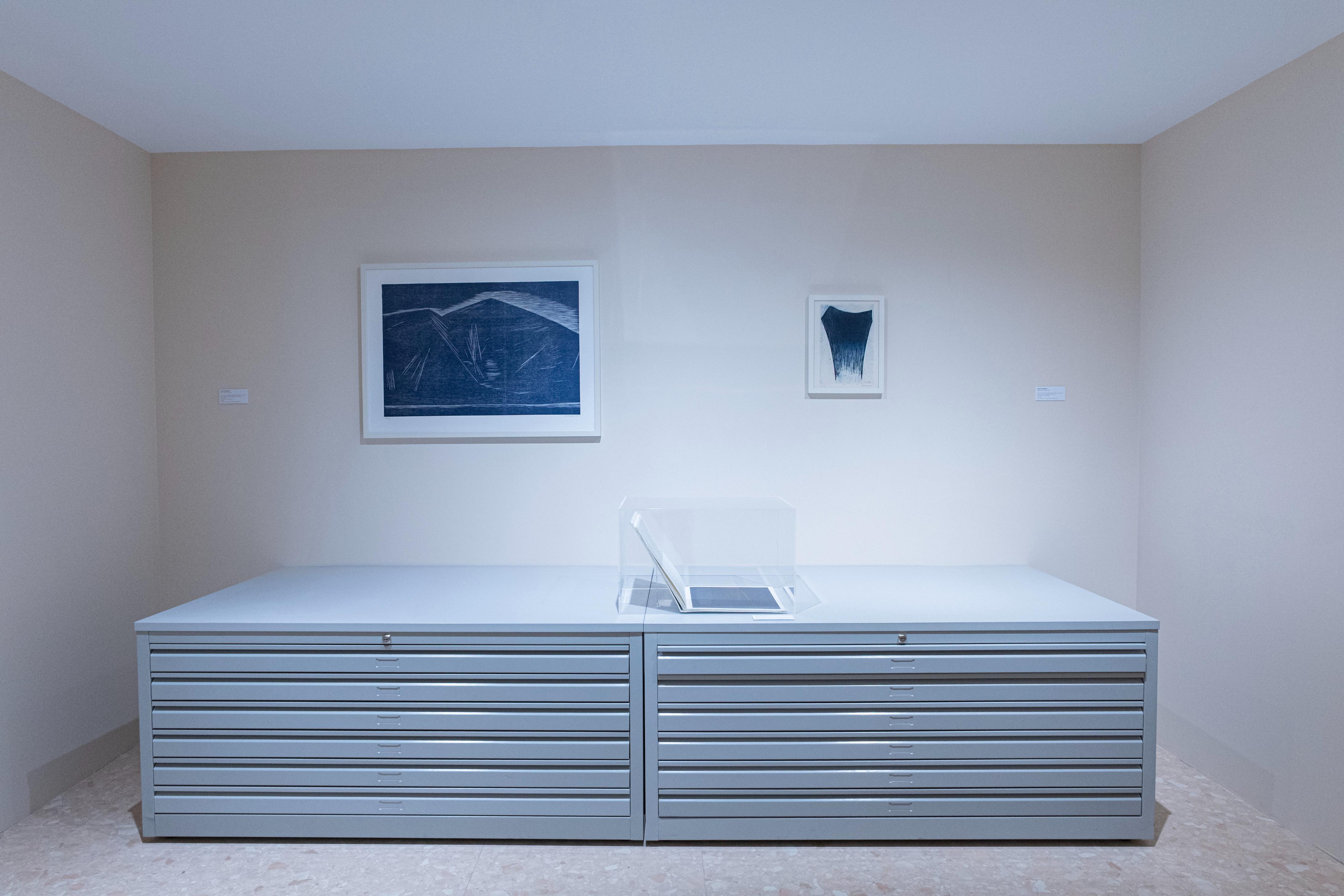 Galerie Poggi, Oceanic Feeling, Virginie Ittah, Février 2026 © CLAD - THE FARM