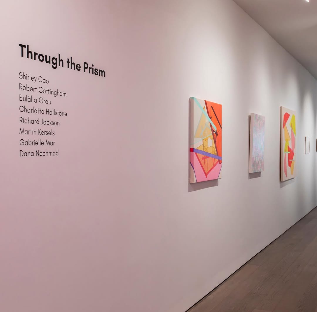 Galerie Vallois, New York, Through the prism, Janvier 2026