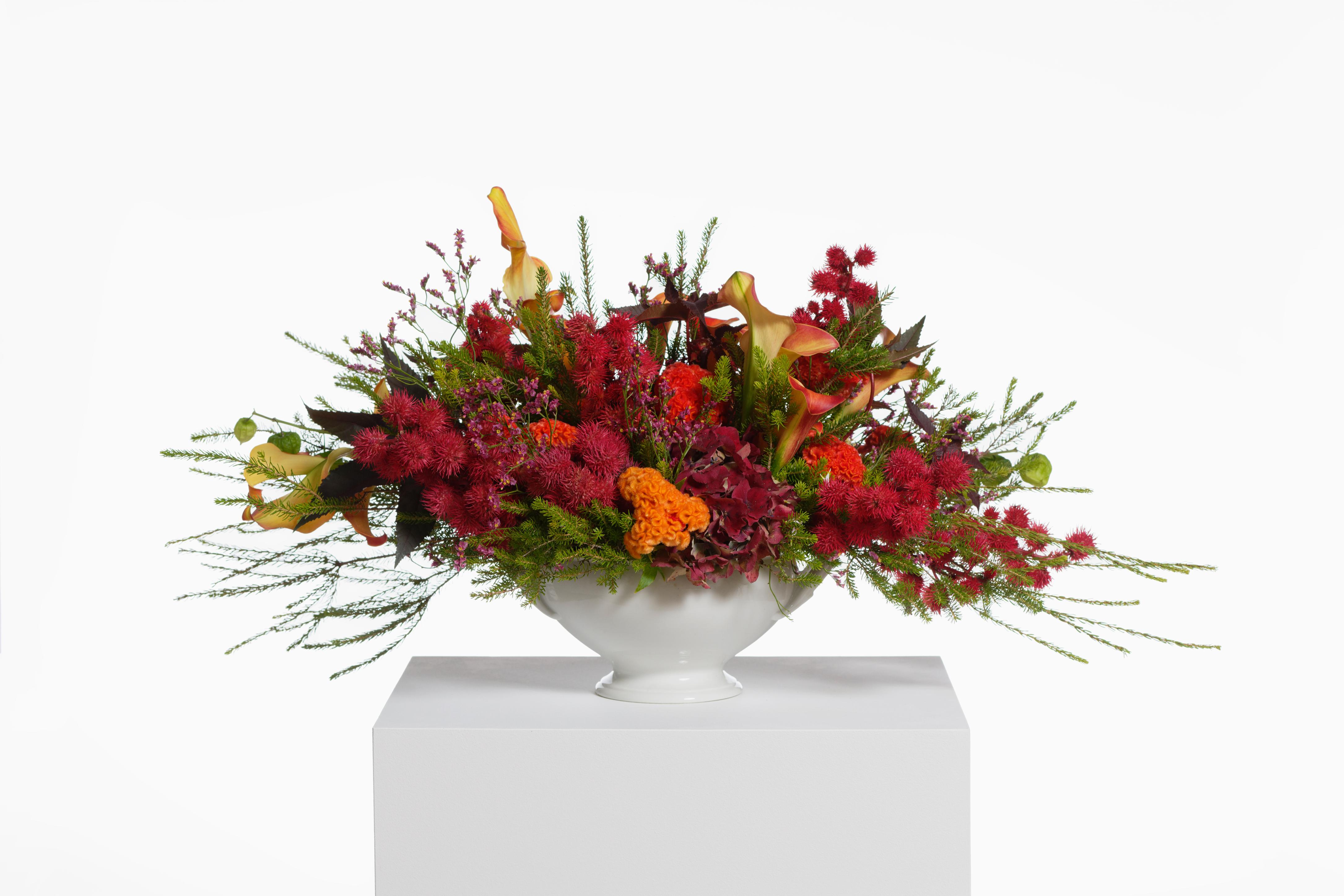 Kapwani Kiwanga, Flowers for Africa Cameroon, 2020