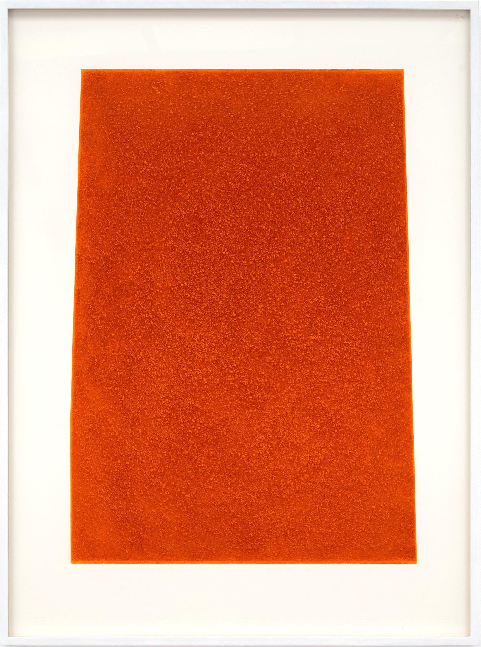 Kees Visser, Q-50, 2025