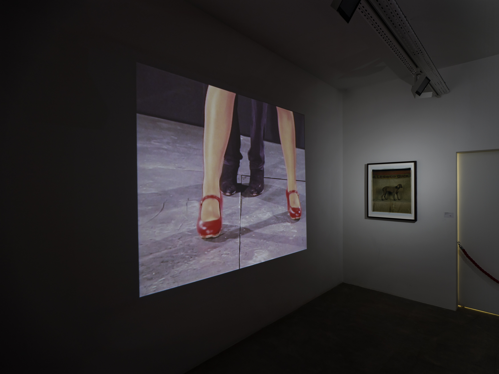 Galerie Vallois, Group Show, Tout en jambes, Mars 2026 © Vincent Chenet