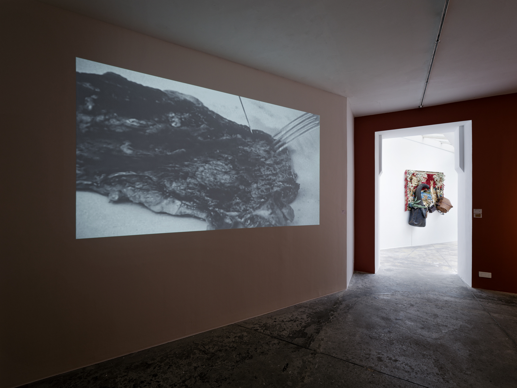 Galerie Vallois, Solo Show, Daniel Spoerri, Les choses de la vie, Mars 2026 © Aurélien Mole