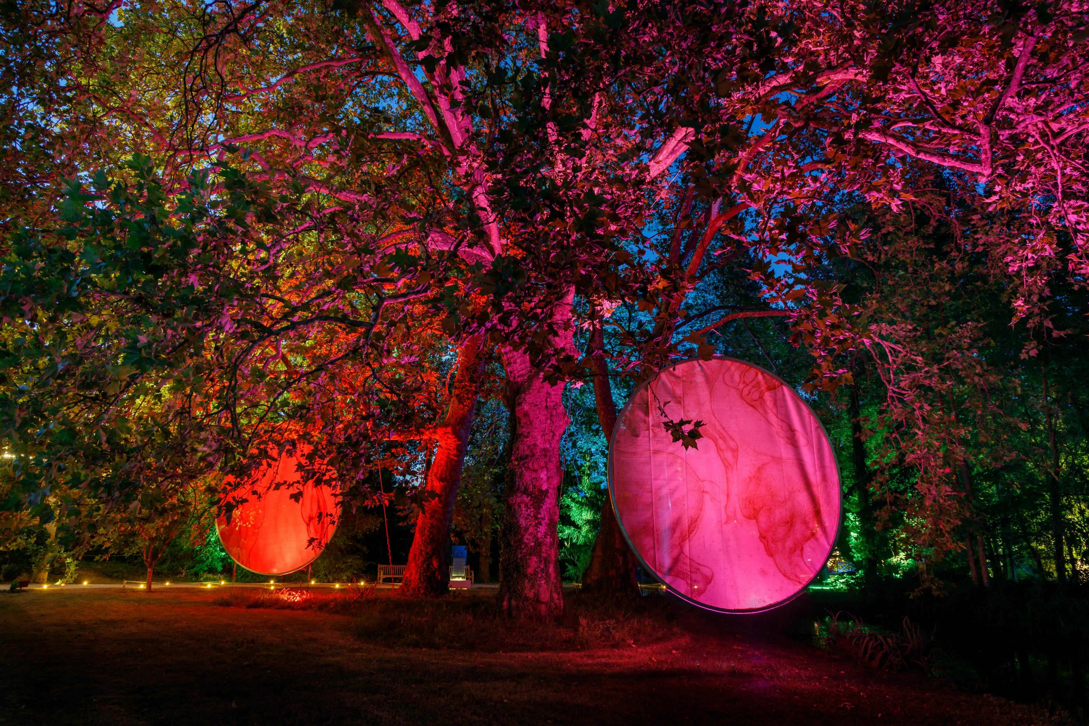 Clos Lucé, Flâneries Nocturnes 2026 © Léonard de Serres