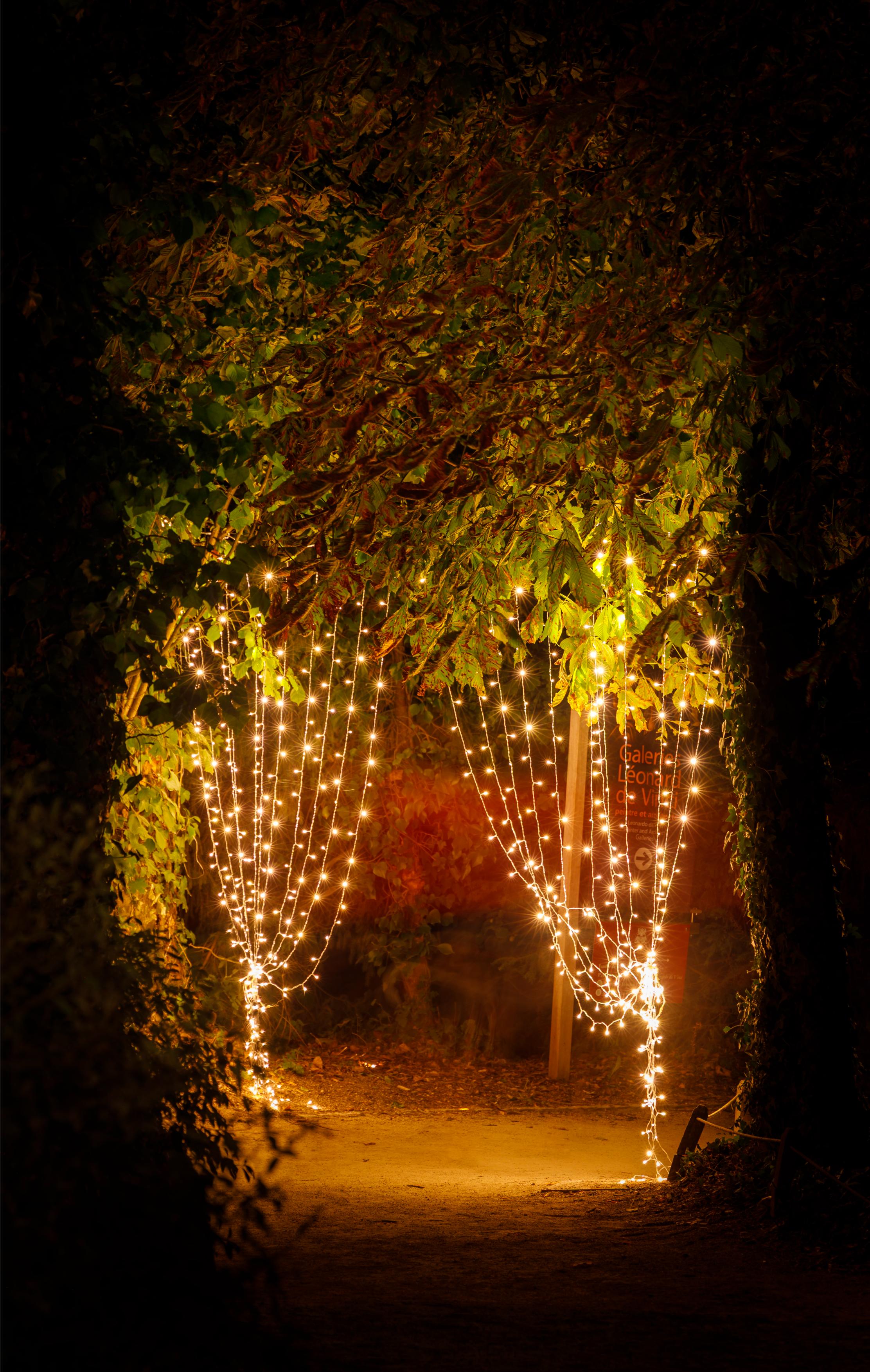 Clos Lucé, Flâneries Nocturnes 2026 © Léonard de Serres