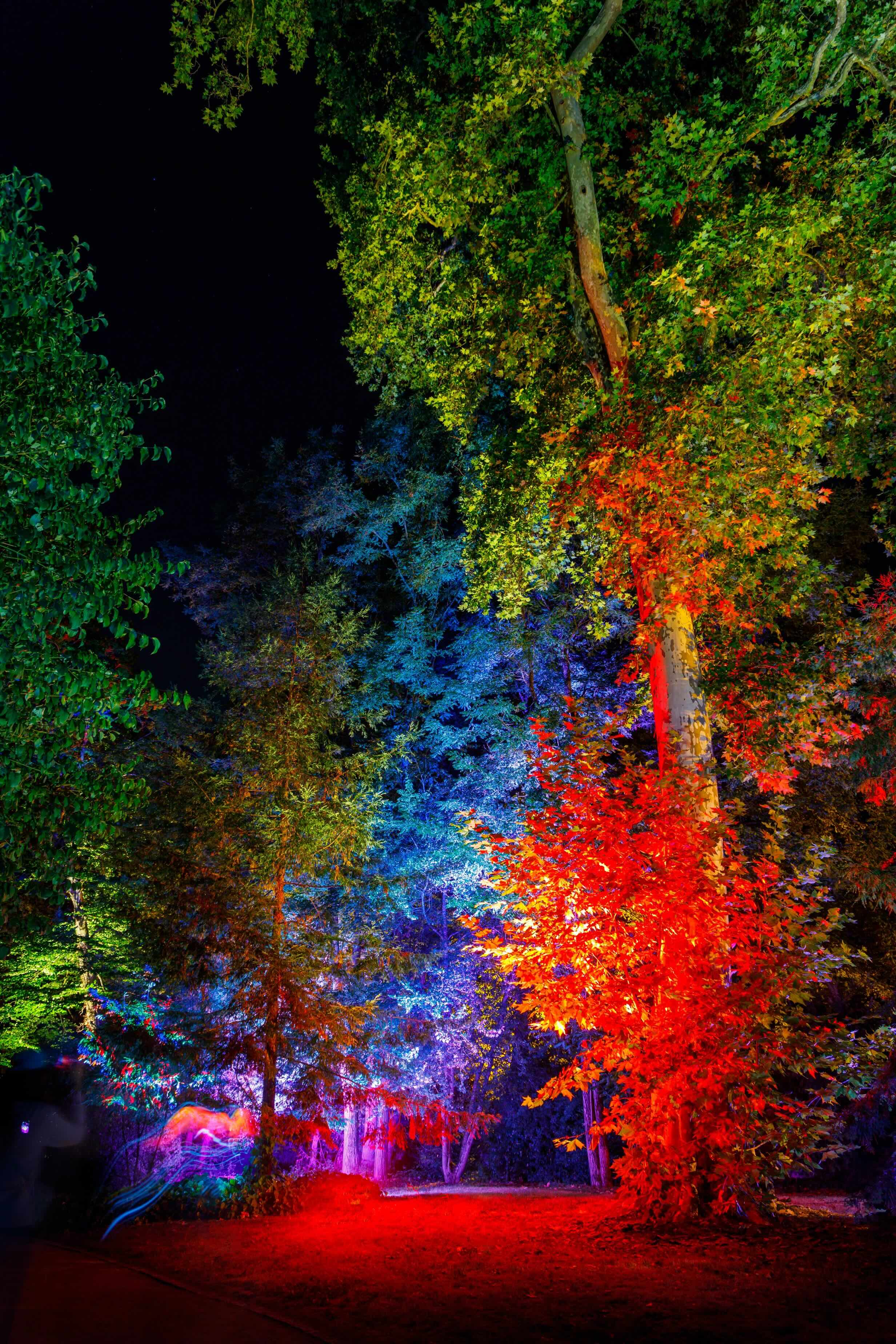 Clos Lucé, Flâneries Nocturnes 2026 © Léonard de Serres