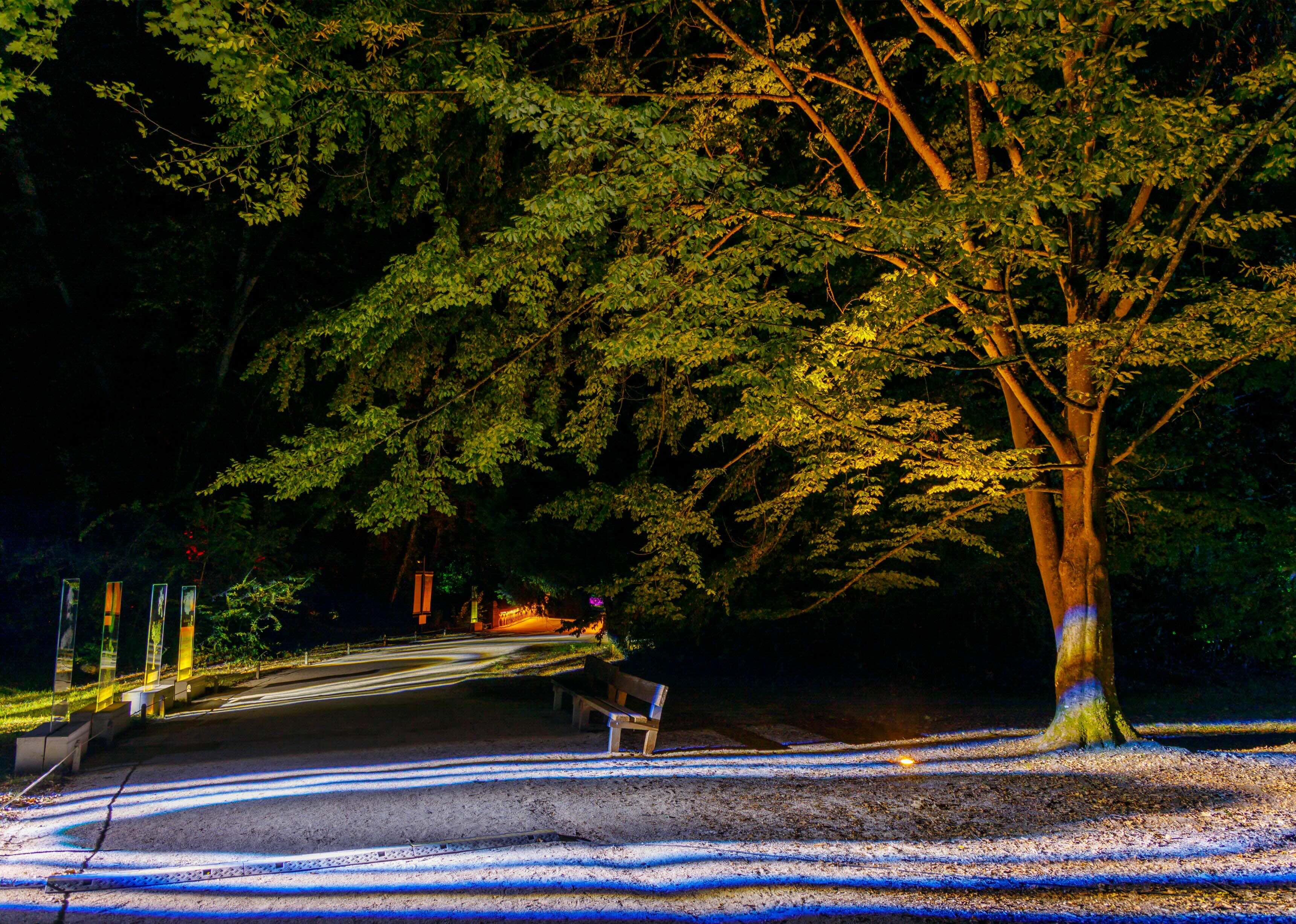 Clos Lucé, Flâneries Nocturnes 2026 © Léonard de Serres