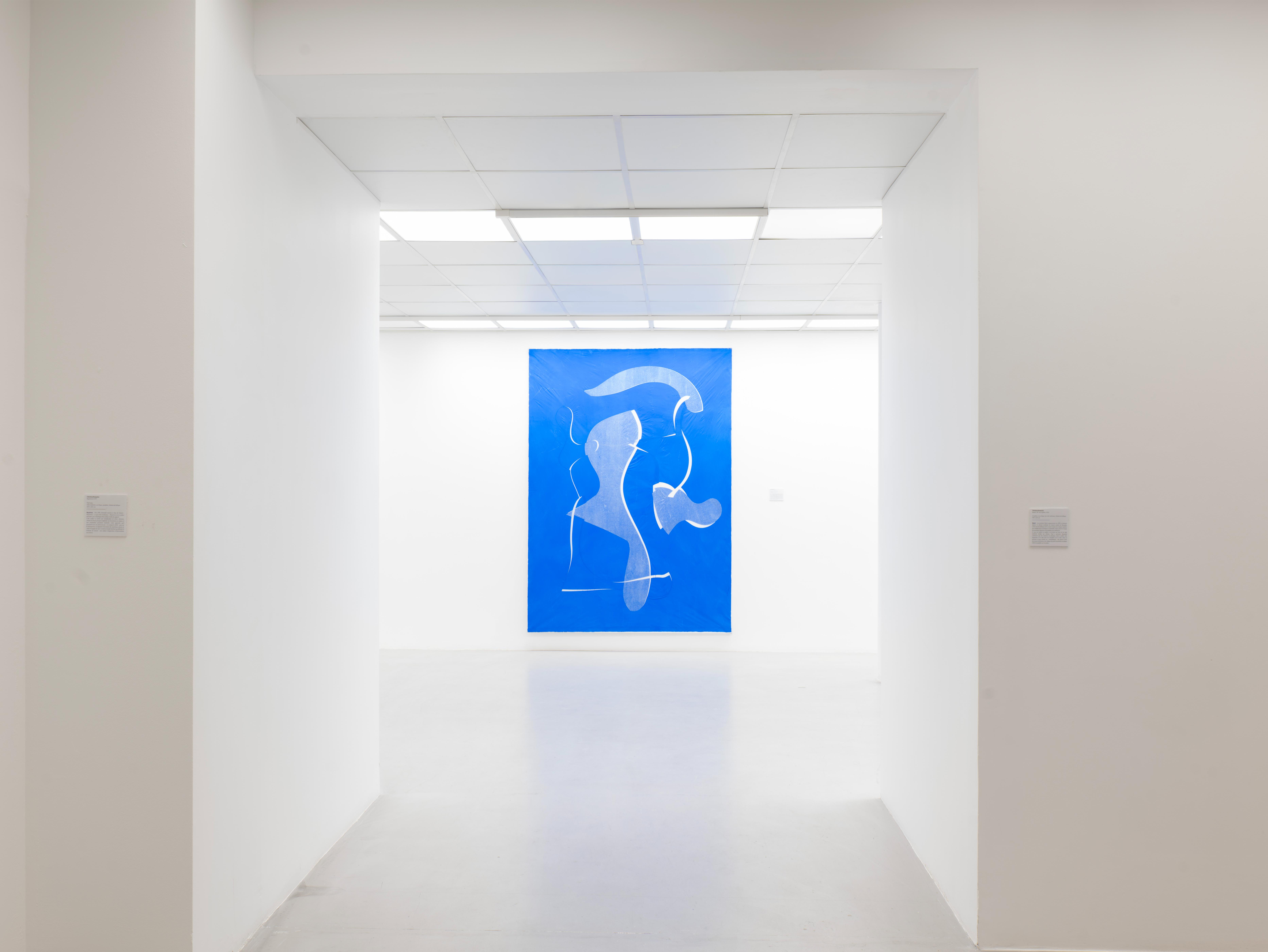 Galerie Poggi, Christian Bonnefoi, Diagramme, Avril 2026 © Younes Lagrouni