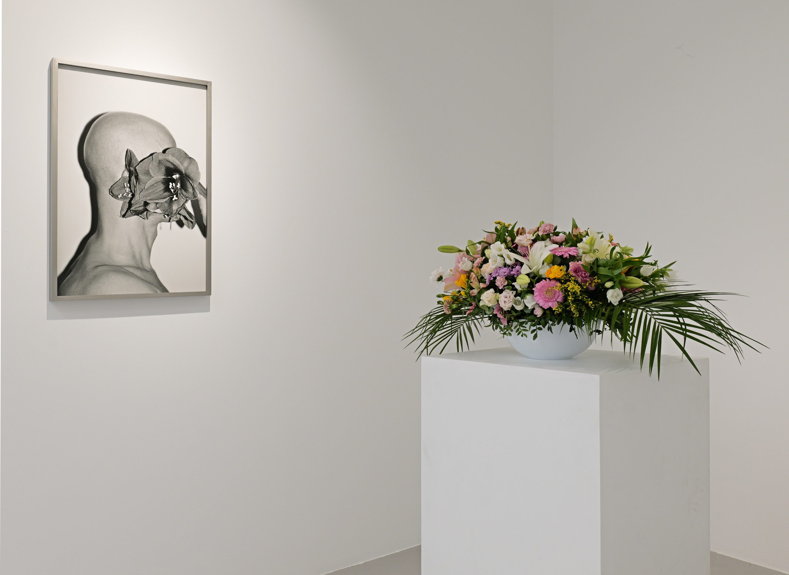 Galerie Poggi, Summer Show, Masterpieces from the gallery, Juillet 2026
