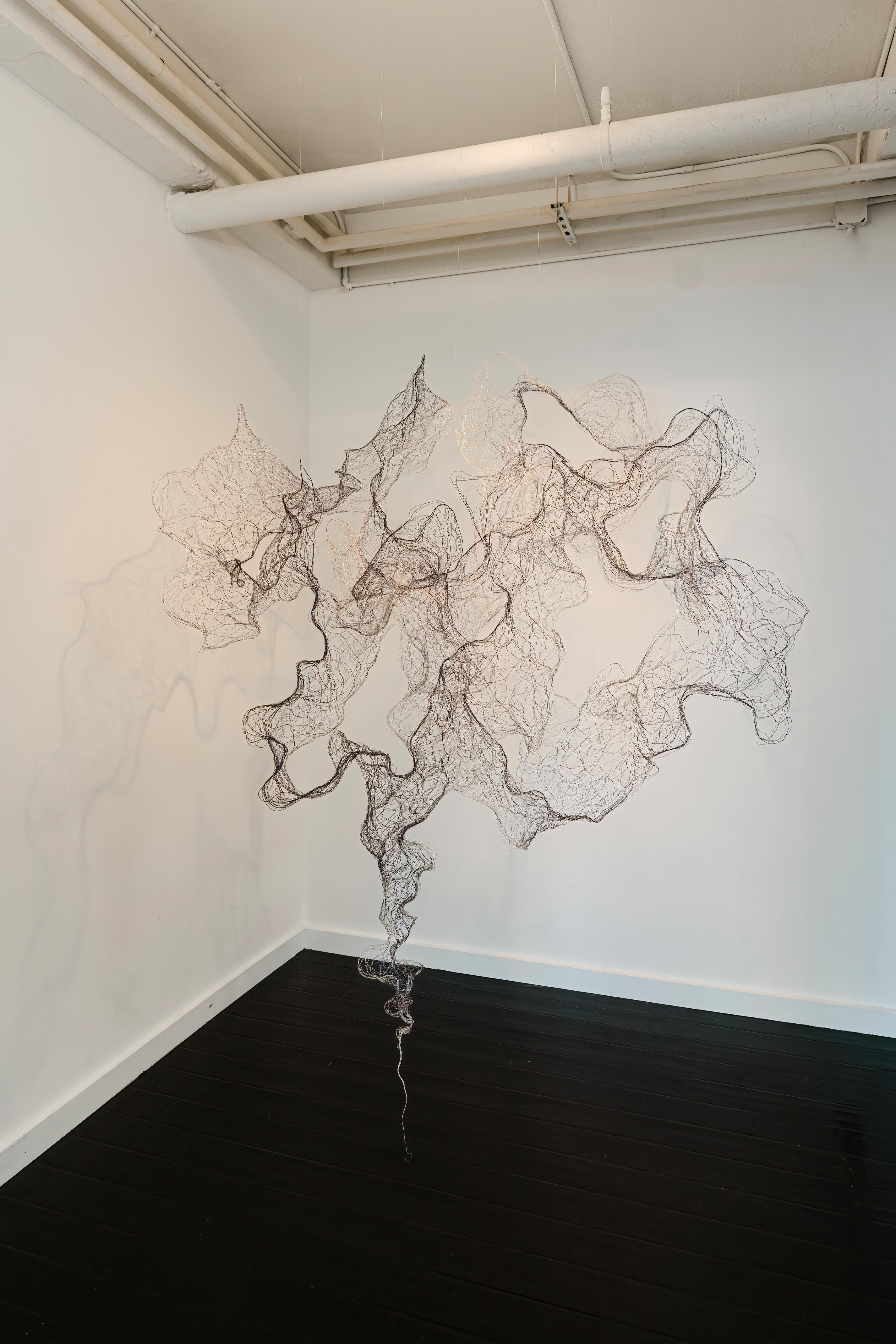 Galerie Vallois, New York, Secret Forms, Septembre 2026