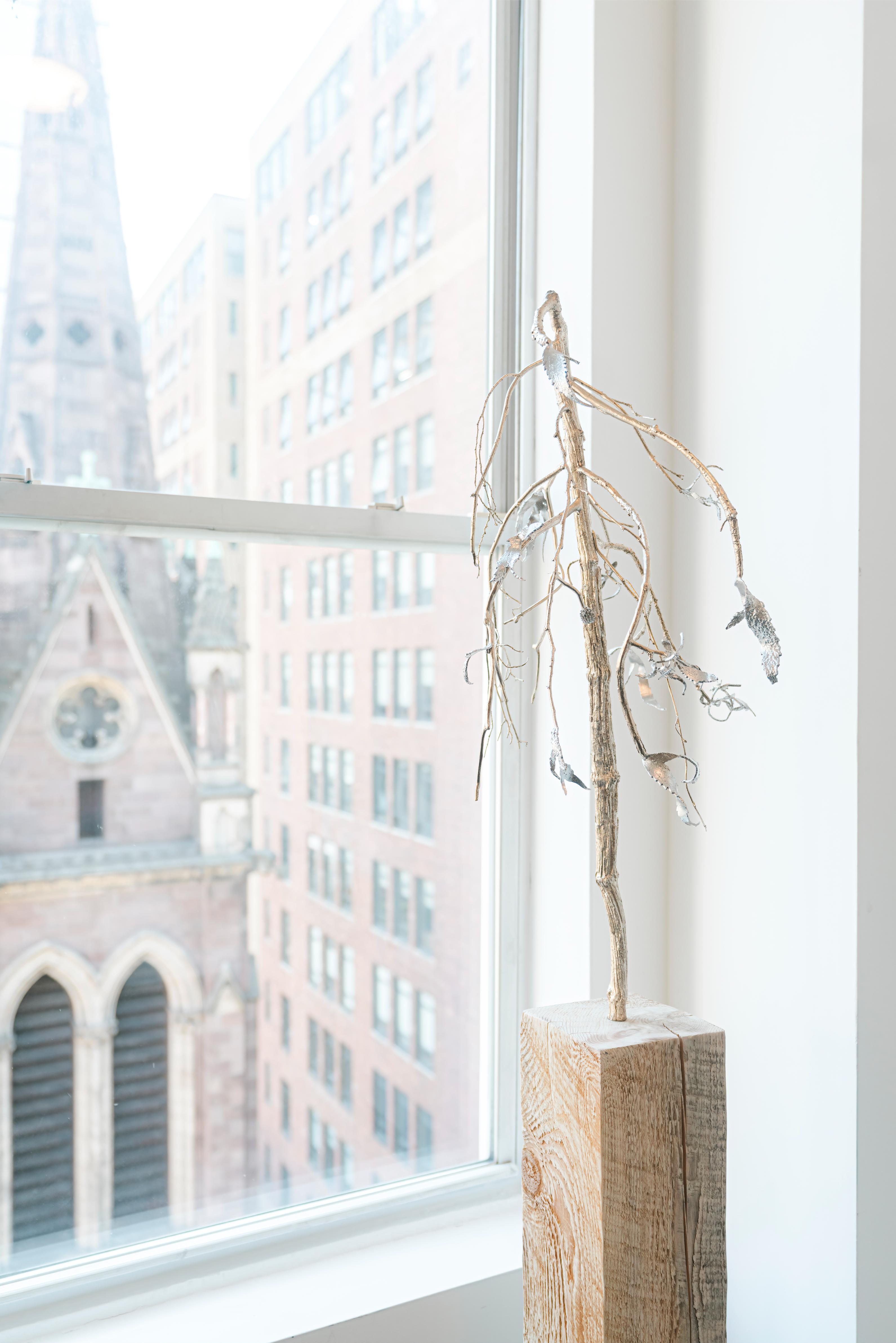 Galerie Vallois, New York, Secret Forms, Septembre 2026